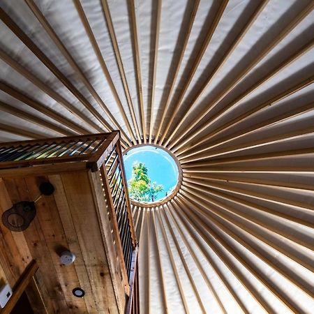 Yourtes Glamping Du Poisson Blanc Notre-Dame-du-Laus Εξωτερικό φωτογραφία